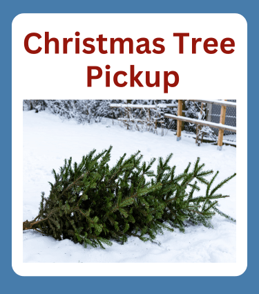 Christmas Tree Pickup 