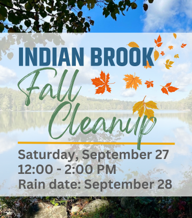 Copy of News Flash 375 x 425