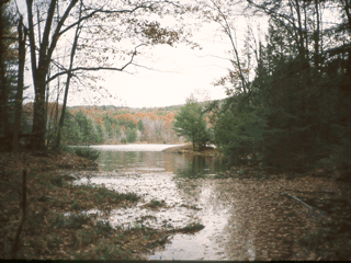 Indian Brook Park in the Fall