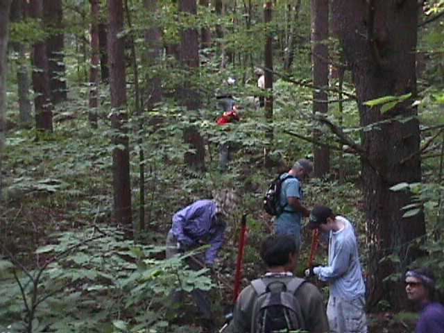Volunteers of Fellowship of the Wheel Building a Track Through Forest